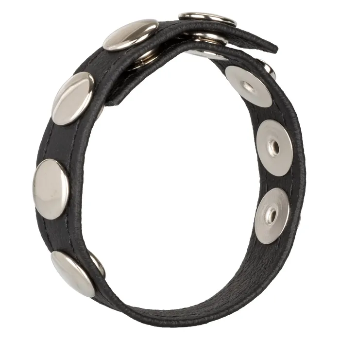 Male Sex Toys Leather MultiSnap Ring CalExotics Male Sex Toys Leather MultiSnap Ring CalExotics