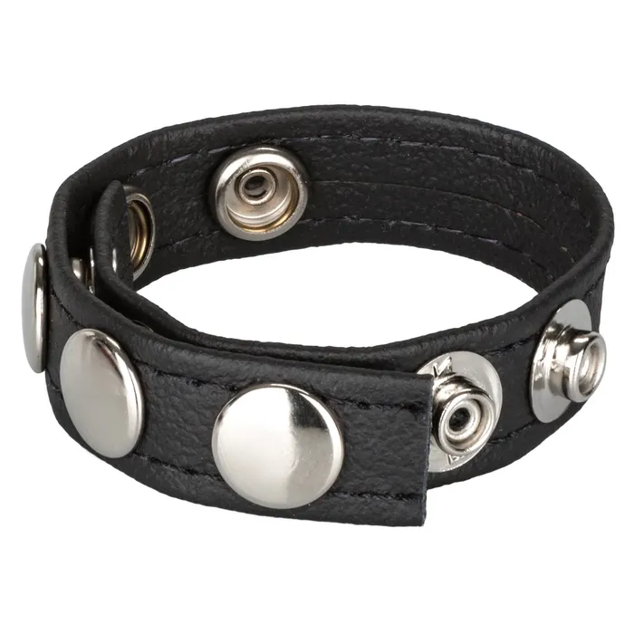 Male Sex Toys Leather MultiSnap Ring CalExotics Male Sex Toys Leather MultiSnap Ring CalExotics
