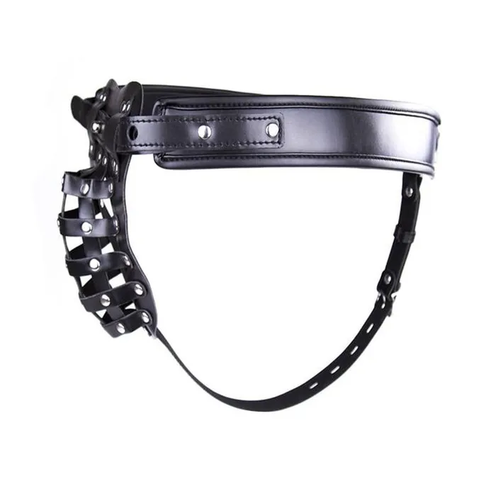Male Sex Toys House of Dasein Chastity Toys Locking Male Leather Chastity Device Cock Cage Scrotum Ball Harness Belt